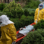 Home 4 Ebola