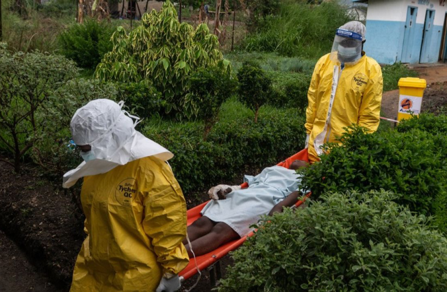 Home 11 Ebola